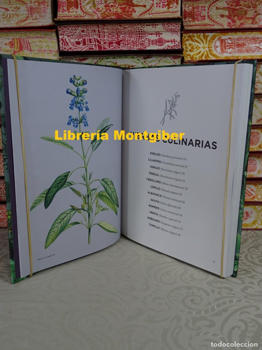 Libros de segunda mano: HIERBAS QUE HAN SANADO EL MUNDO . Autor : SMITH , CONNOR - Foto 3