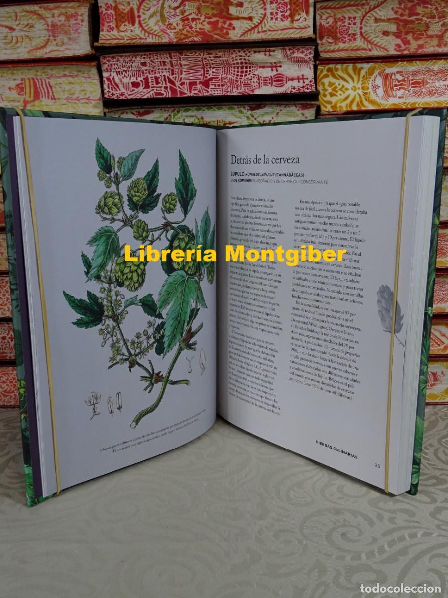 Libros de segunda mano: HIERBAS QUE HAN SANADO EL MUNDO . Autor : SMITH , CONNOR - Foto 4