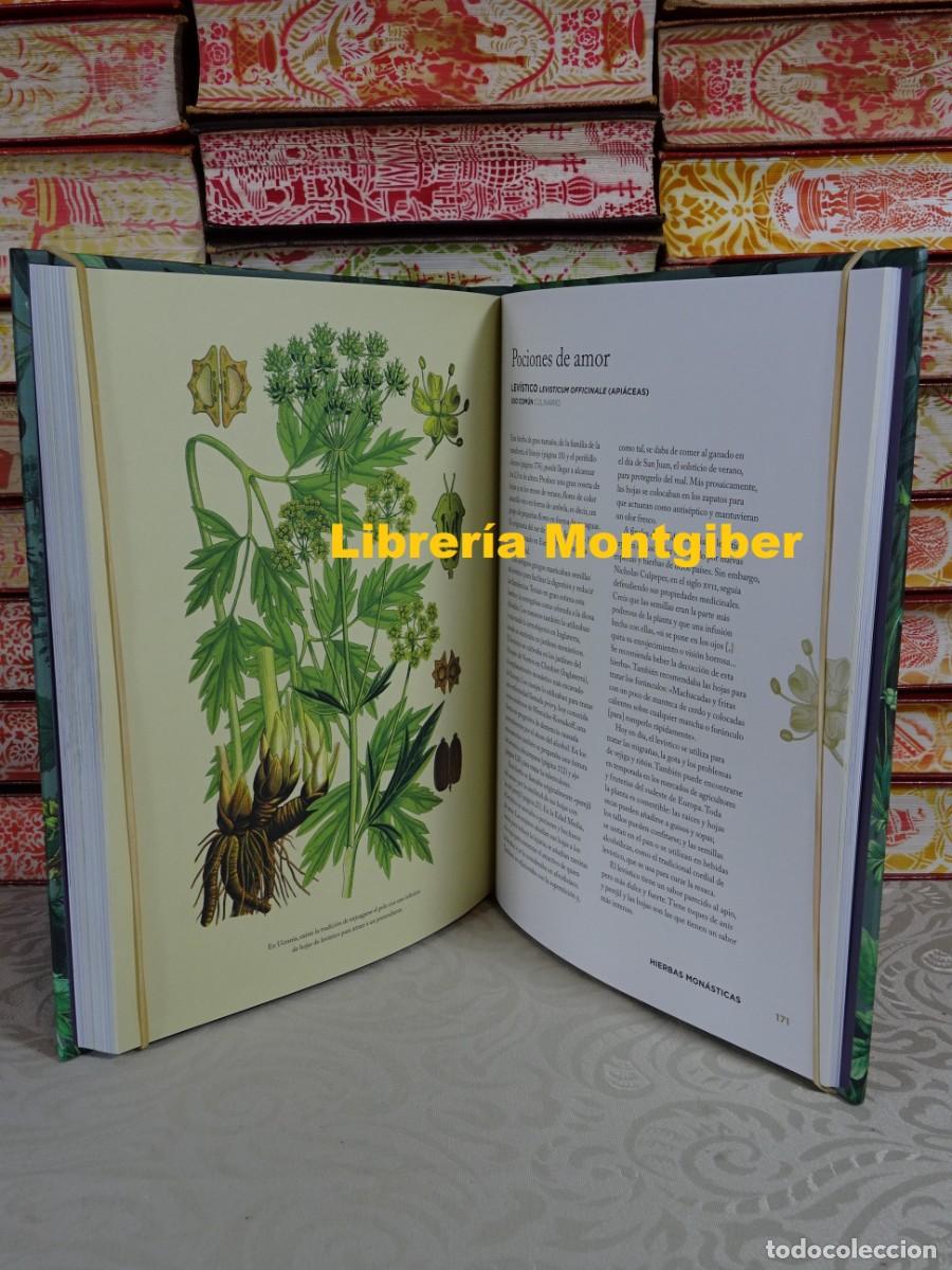 Libros de segunda mano: HIERBAS QUE HAN SANADO EL MUNDO . Autor : SMITH , CONNOR - Foto 5