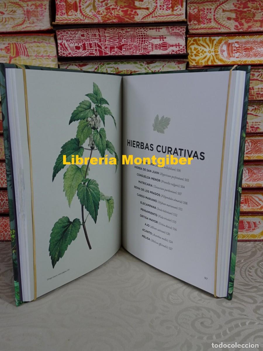Libros de segunda mano: HIERBAS QUE HAN SANADO EL MUNDO . Autor : SMITH , CONNOR - Foto 6