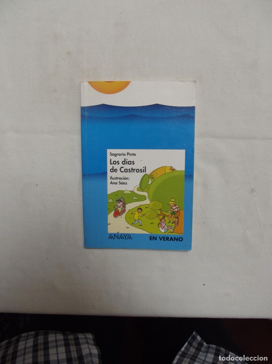 Libros de segunda mano: LOS DIAS DE CASTROSIL DE SAGRARIO PINTO - Foto 1