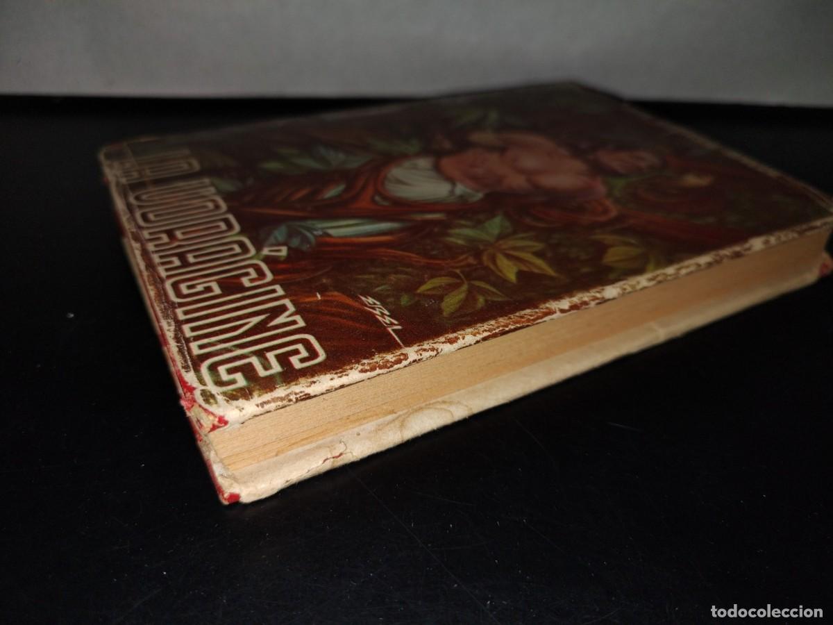 Libros de segunda mano: 108- LA VOR&Aacute;GINE - JOS&Eacute; EUSTASIO RIVERA - EDITORIAL DIANA - 1958 - Foto 3
