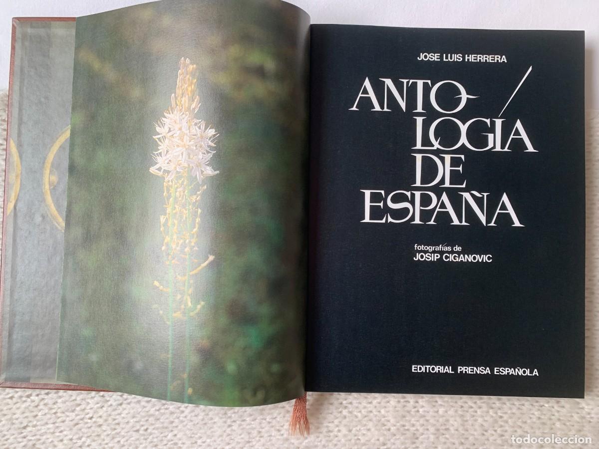 Libros de segunda mano: Antolog&iacute;a de Espa&ntilde;a (J. L. Herrera) - Foto 3