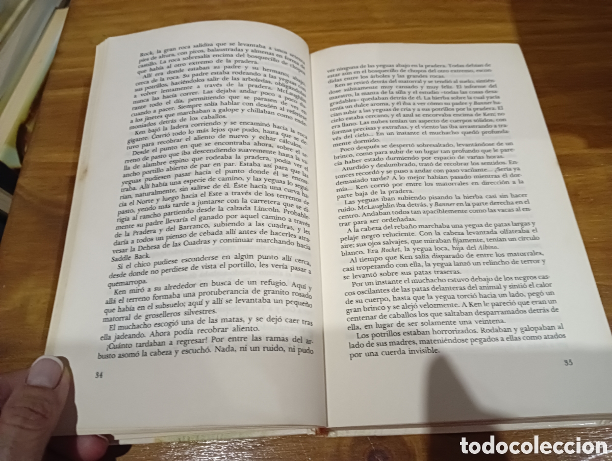 Libros de segunda mano: Mi amiga Flicka.Mary OHara - Foto 5