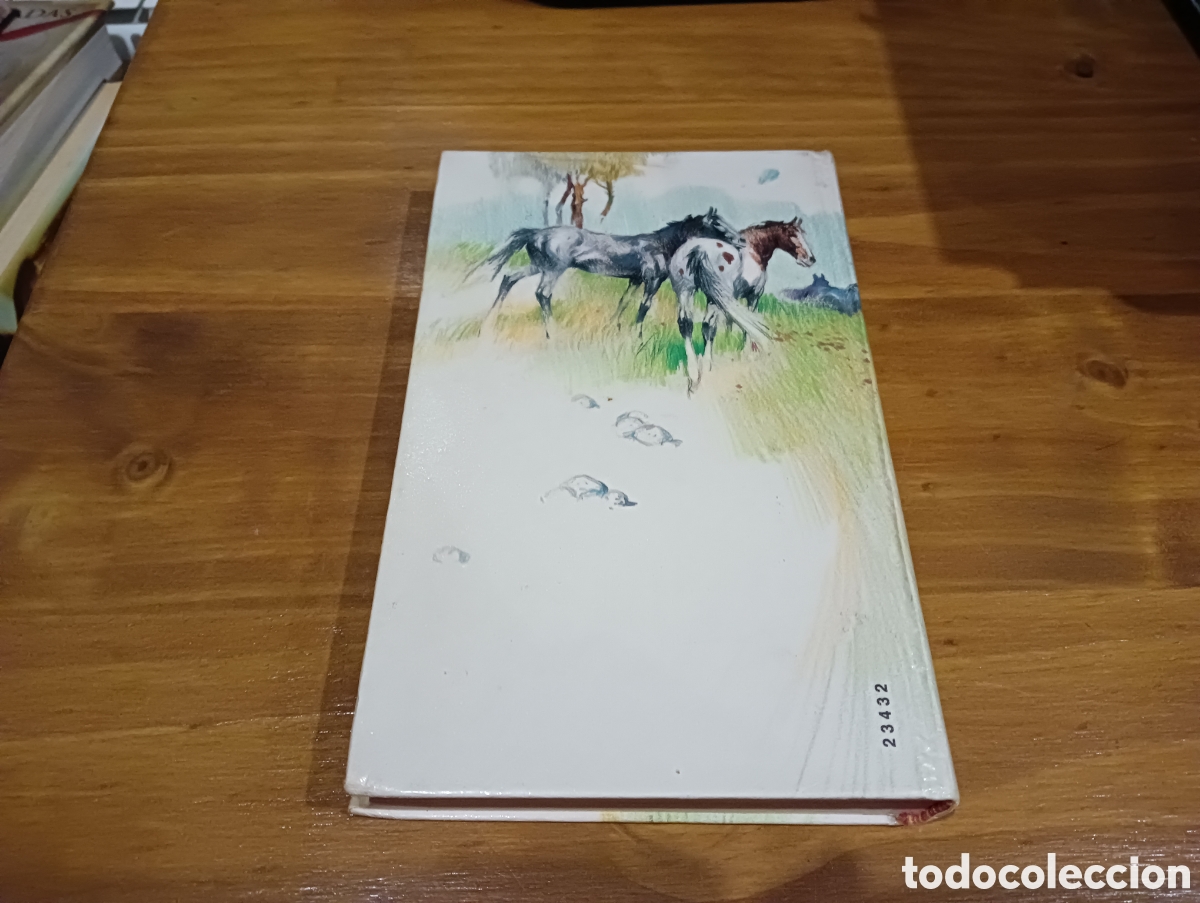Libros de segunda mano: Mi amiga Flicka.Mary OHara - Foto 7