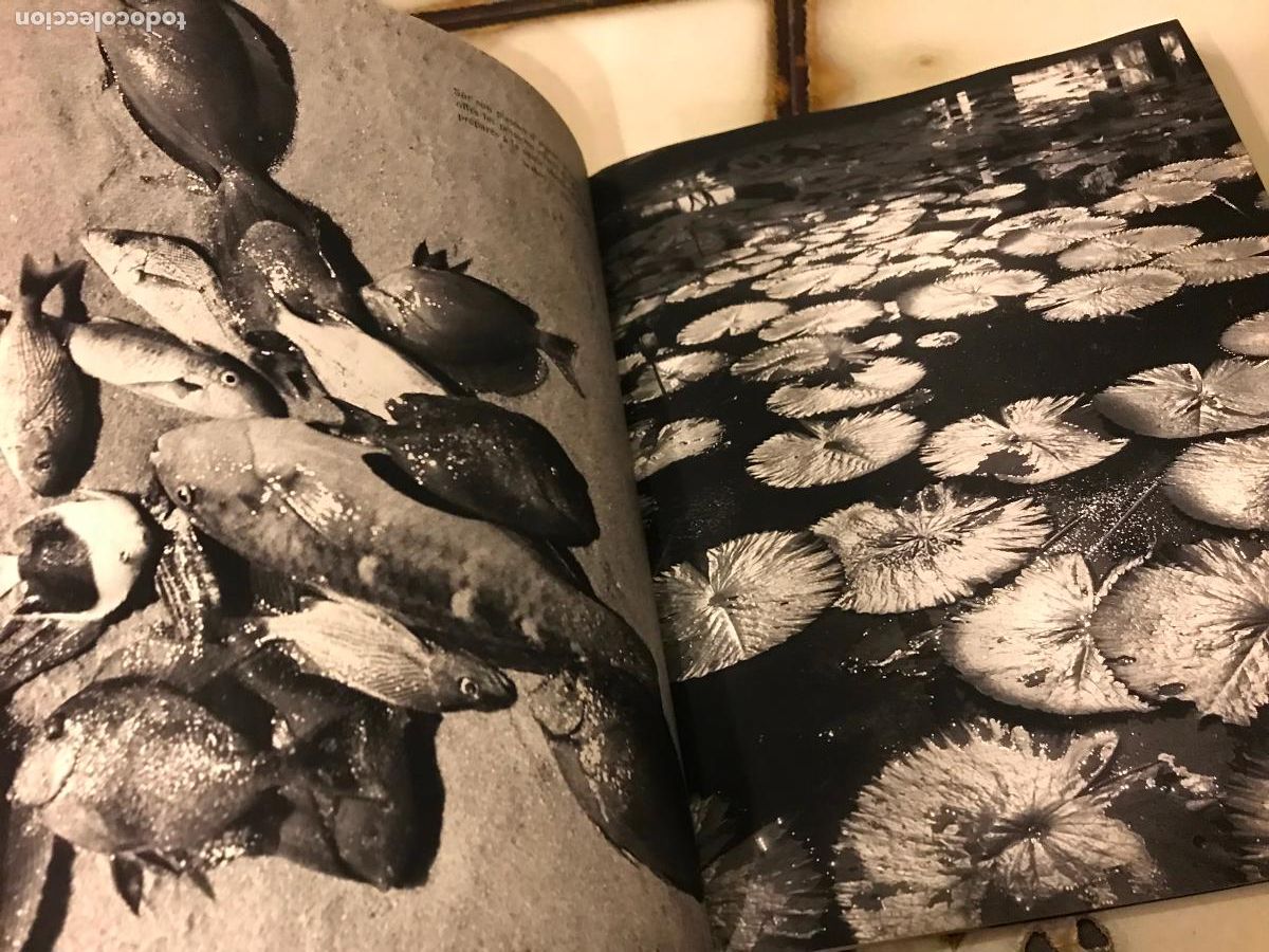 Libros de segunda mano: Bahia de tous les po&egrave;tes. EN FRANC&Eacute;S. - Foto 9