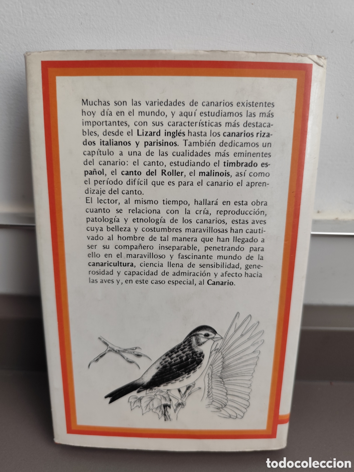 Libros de segunda mano: Canarios pajaritos varios - Foto 2