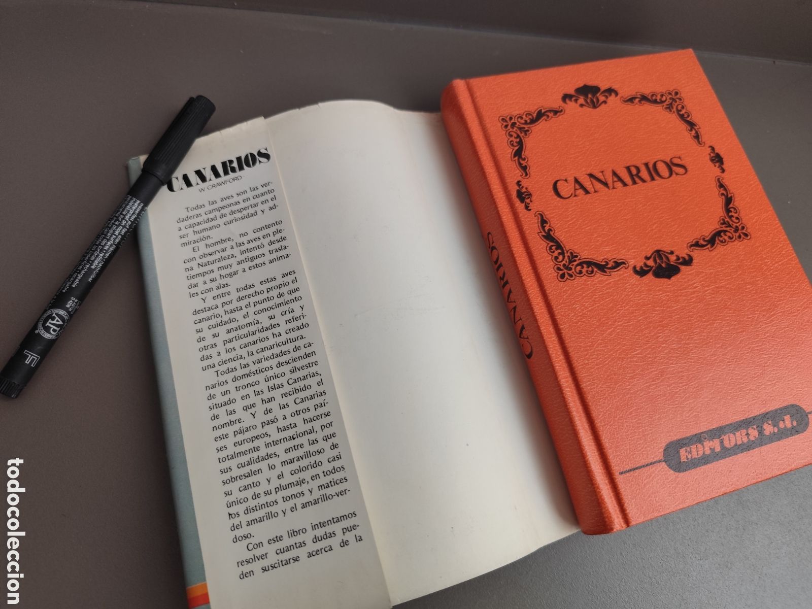 Libros de segunda mano: Canarios pajaritos varios - Foto 3