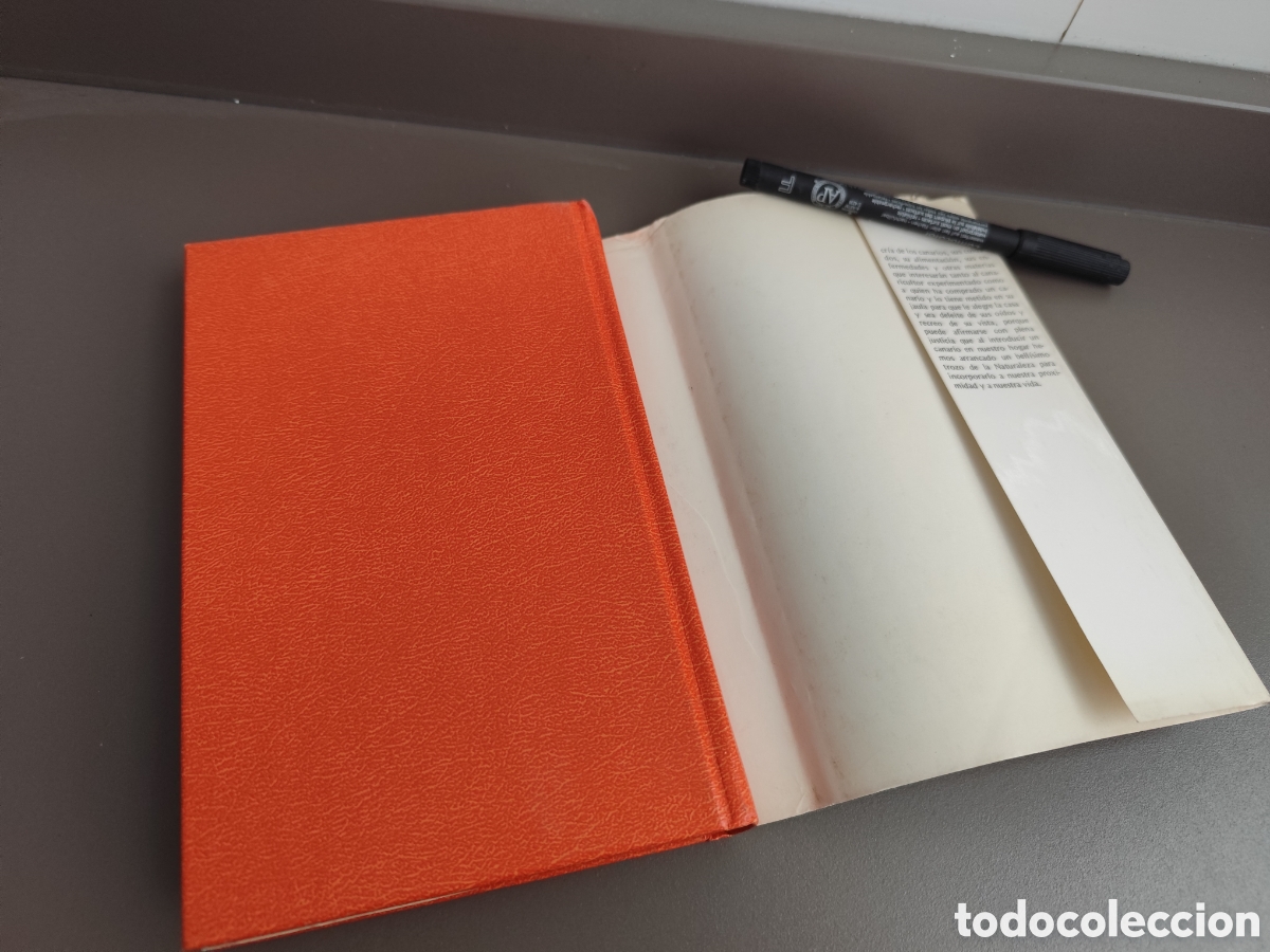 Libros de segunda mano: Canarios pajaritos varios - Foto 4