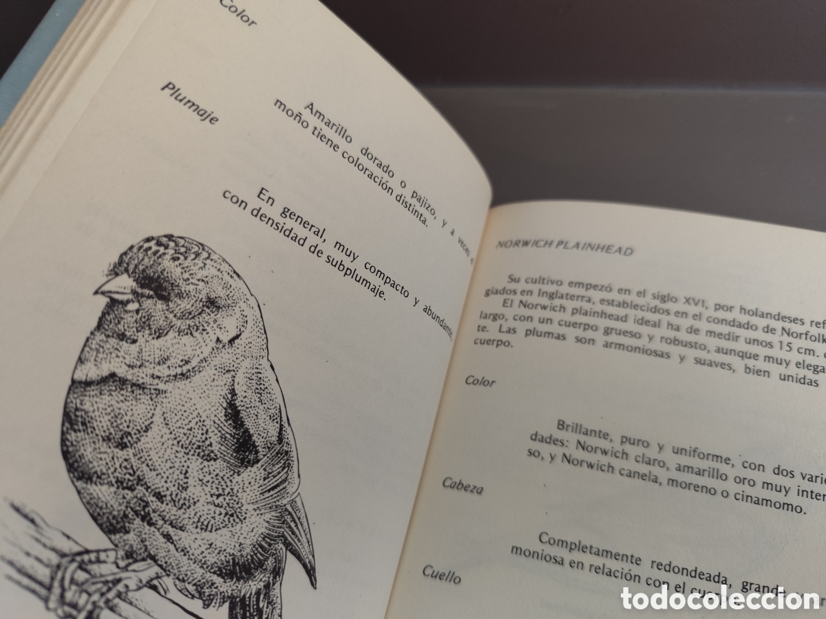 Libros de segunda mano: Canarios pajaritos varios - Foto 5