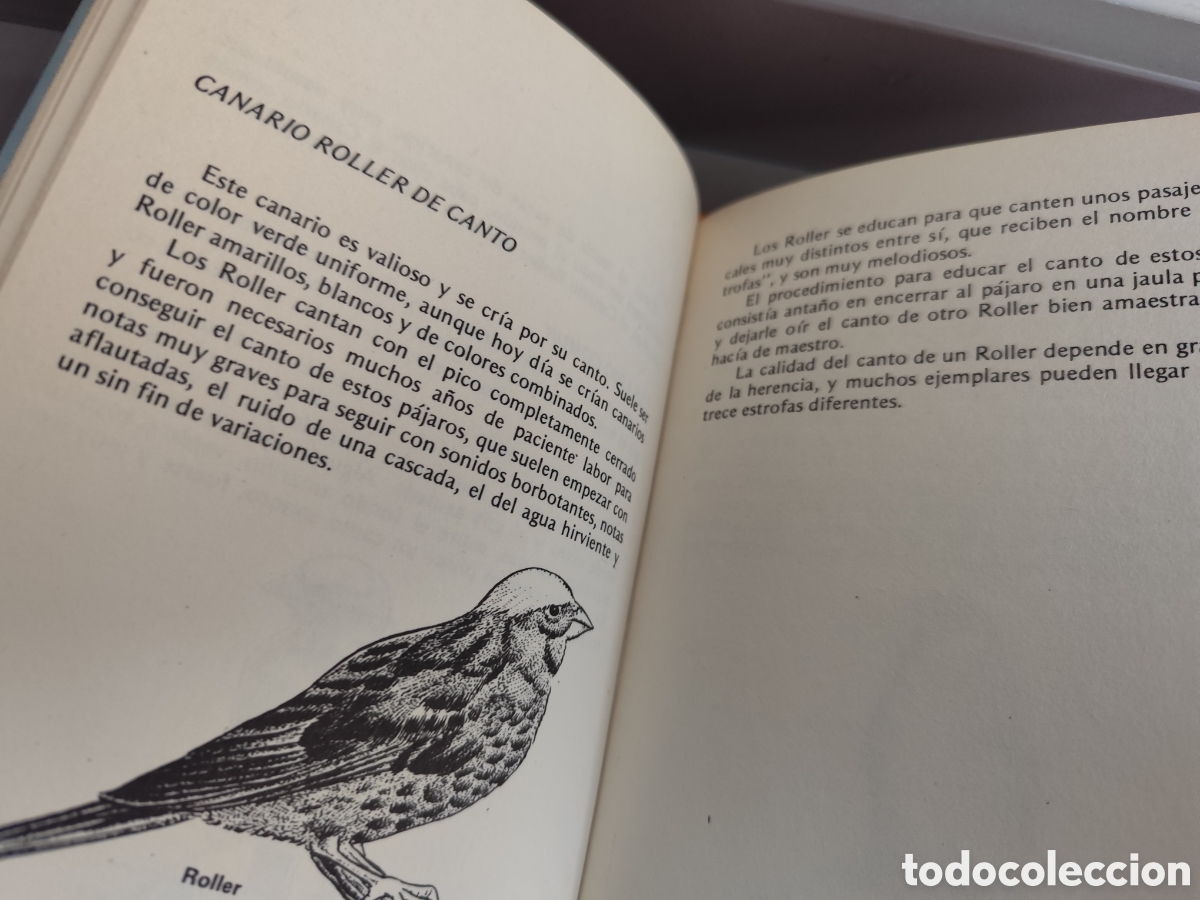Libros de segunda mano: Canarios pajaritos varios - Foto 7