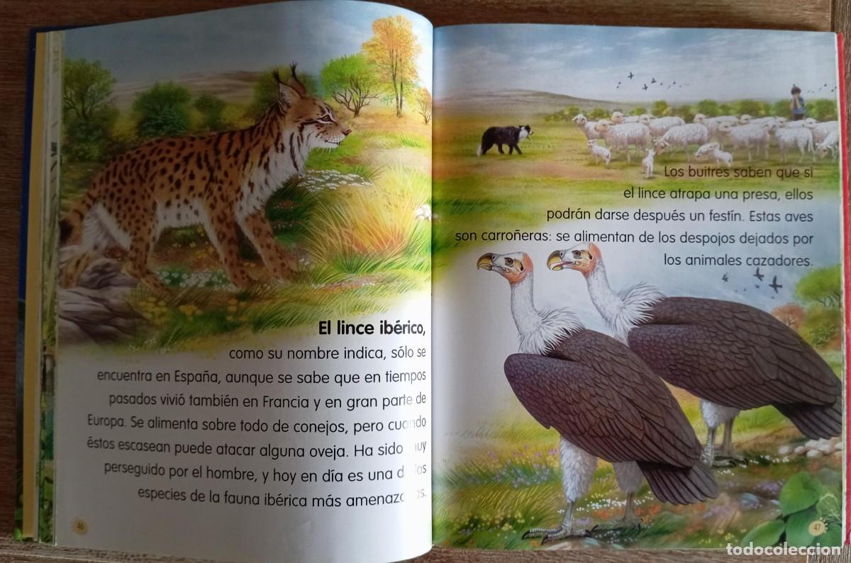 Libros de segunda mano: ANIMALES DEL MUNDO - SUSAETA - Foto 2
