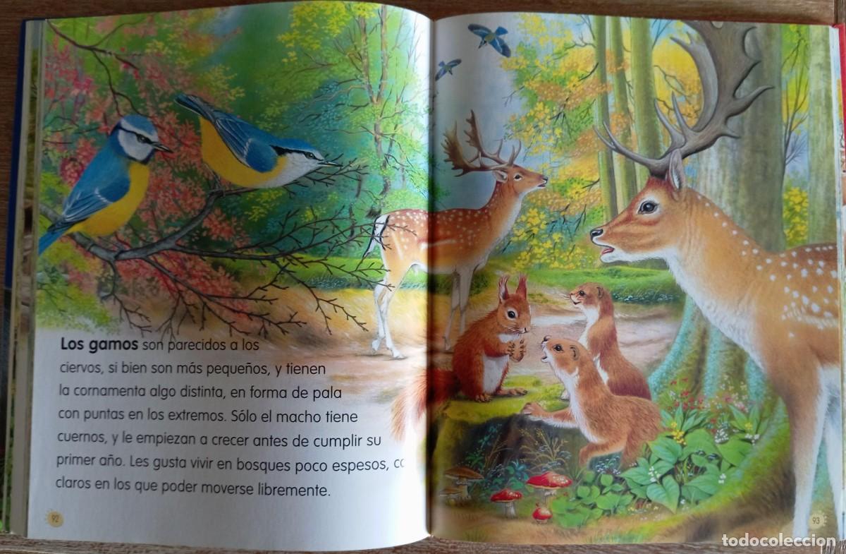 Libros de segunda mano: ANIMALES DEL MUNDO - SUSAETA - Foto 3