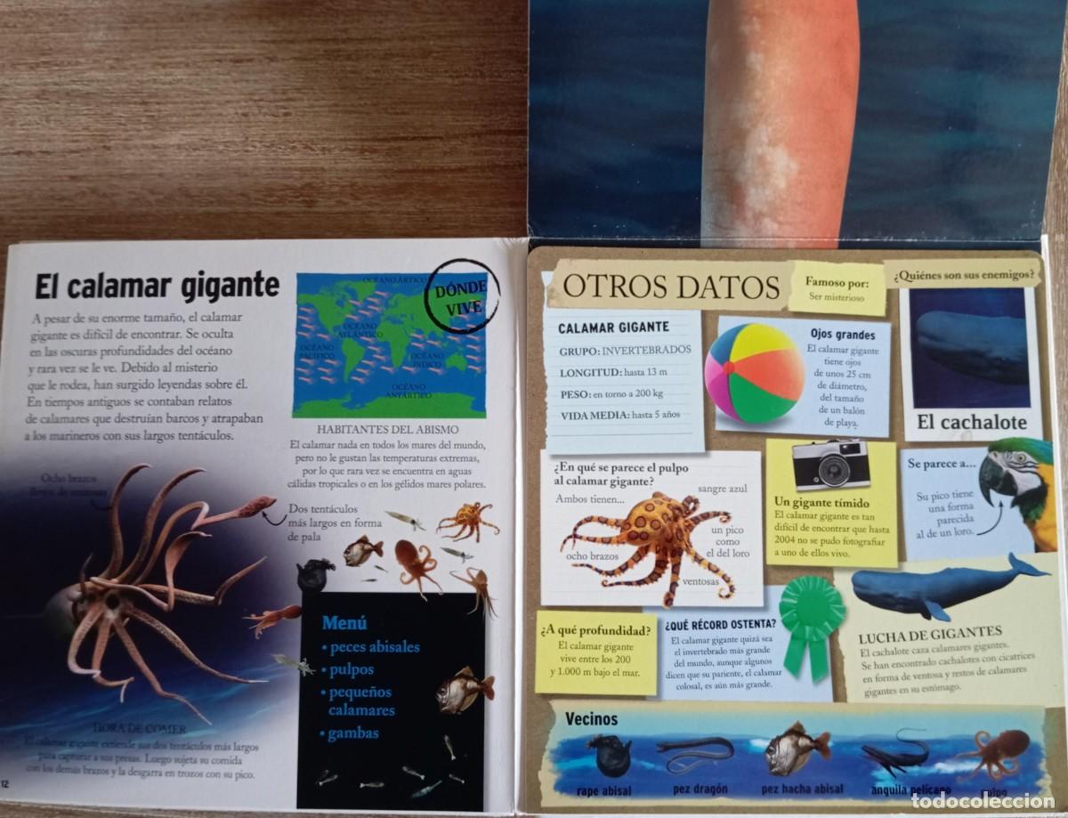 Libros de segunda mano: GIGANTES MARINOS - EDICIONES SM - Foto 3