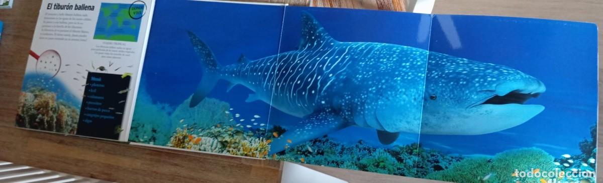 Libros de segunda mano: GIGANTES MARINOS - EDICIONES SM - Foto 4