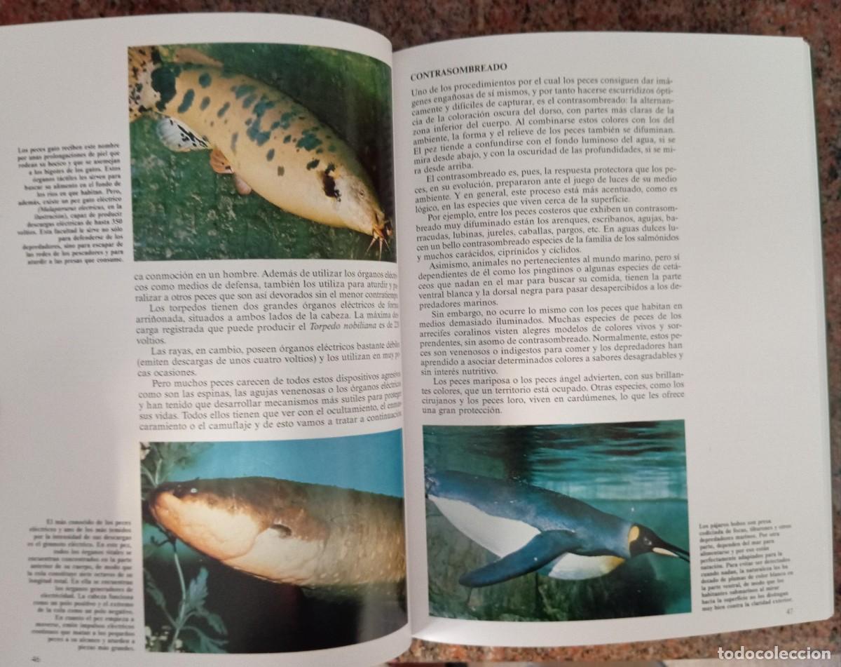 Libros de segunda mano: HISTORIA NATURAL - CLUB INTERNACIONAL DEL LIBRO - 7 TOMOS - Foto 3