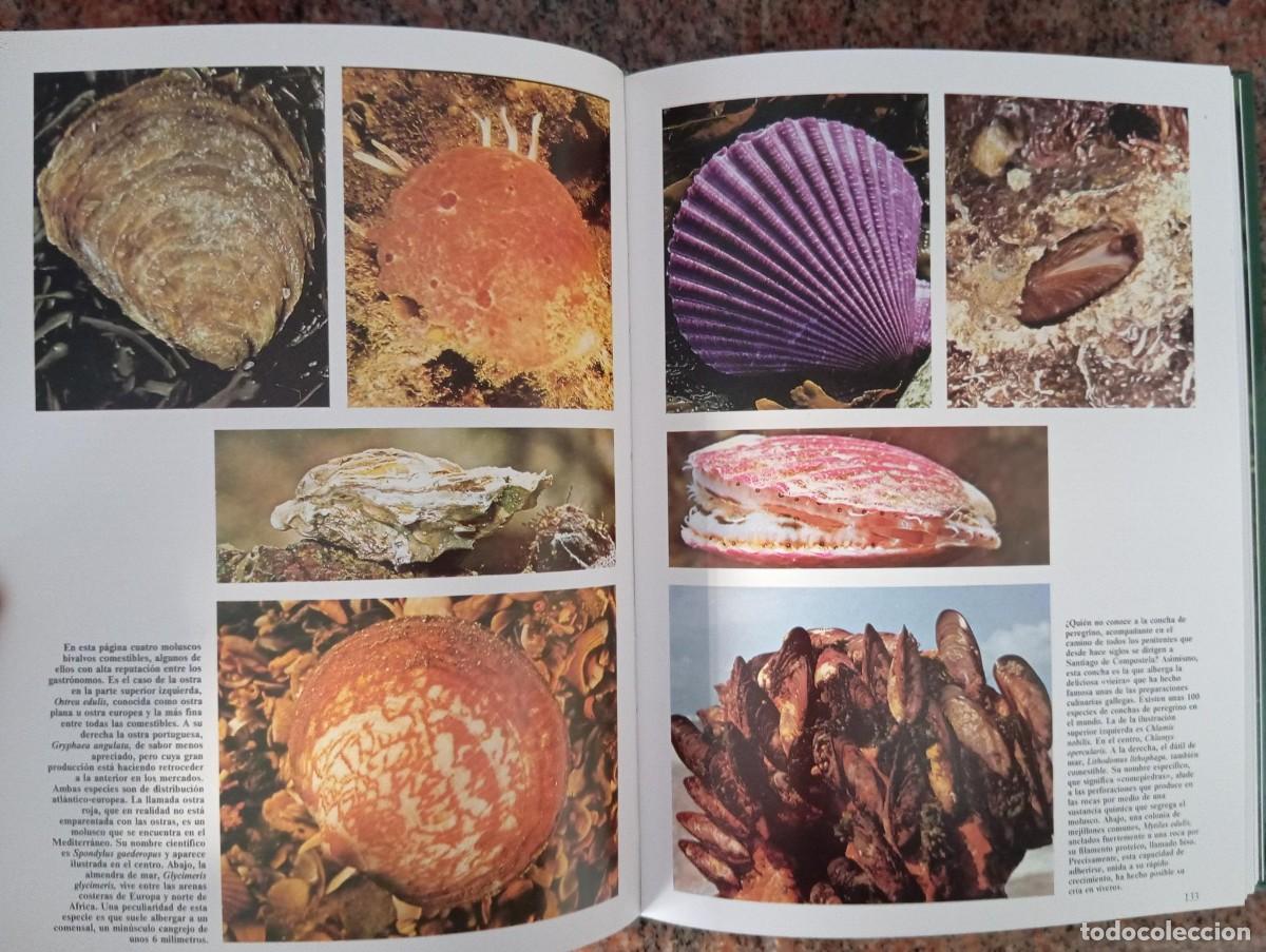 Libros de segunda mano: HISTORIA NATURAL - CLUB INTERNACIONAL DEL LIBRO - 7 TOMOS - Foto 4