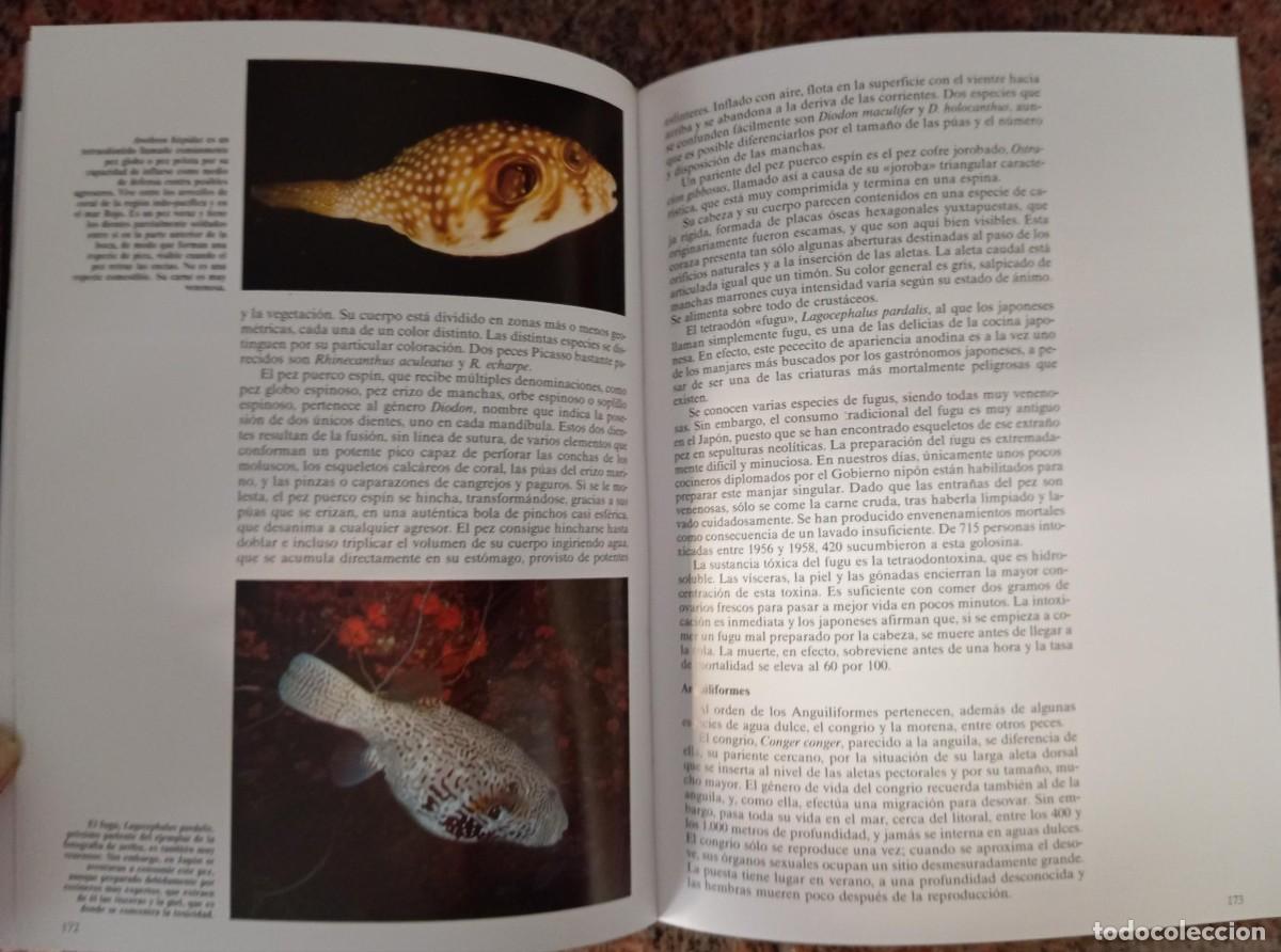 Libros de segunda mano: HISTORIA NATURAL - CLUB INTERNACIONAL DEL LIBRO - 7 TOMOS - Foto 5