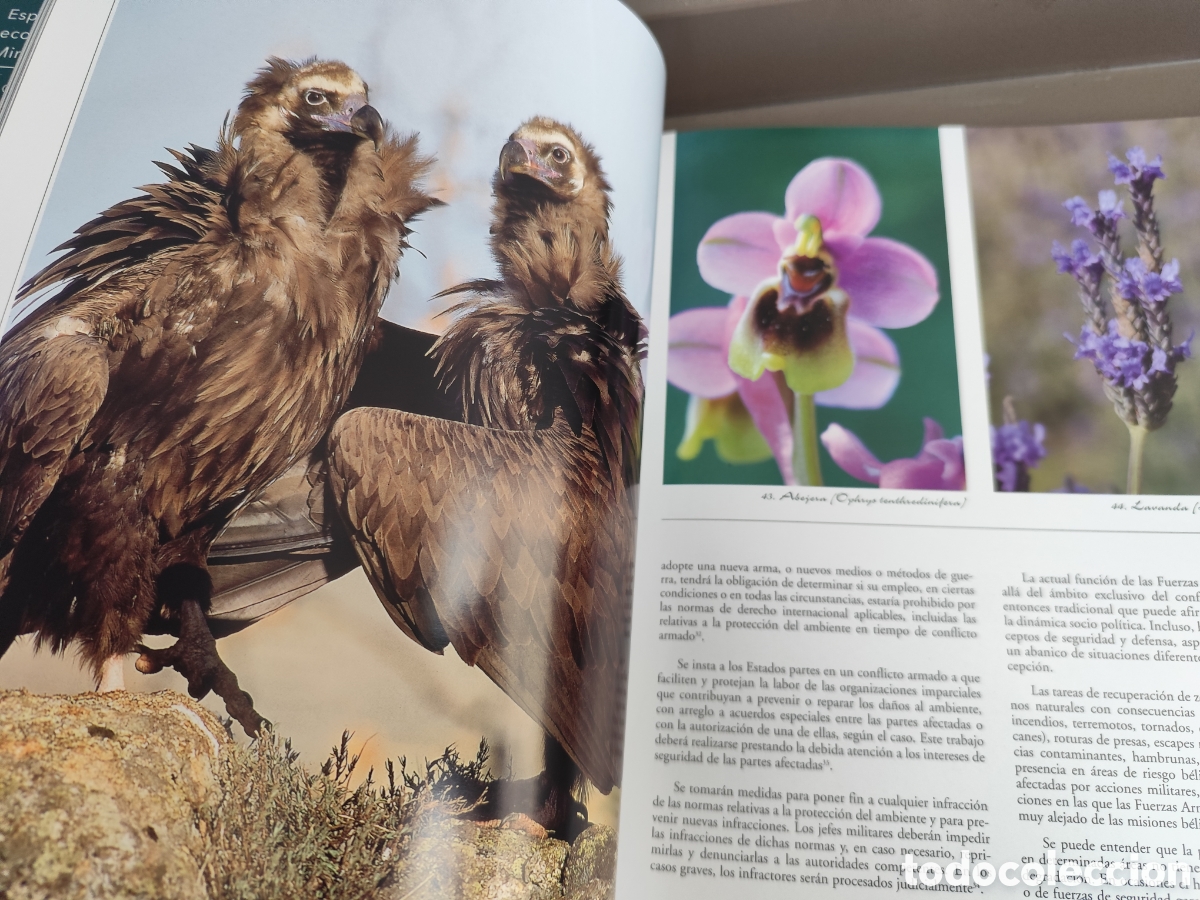 Libros de segunda mano: ESPACIOS NATURALES DEL MINISTERIO DE DEFENSA - Foto 9