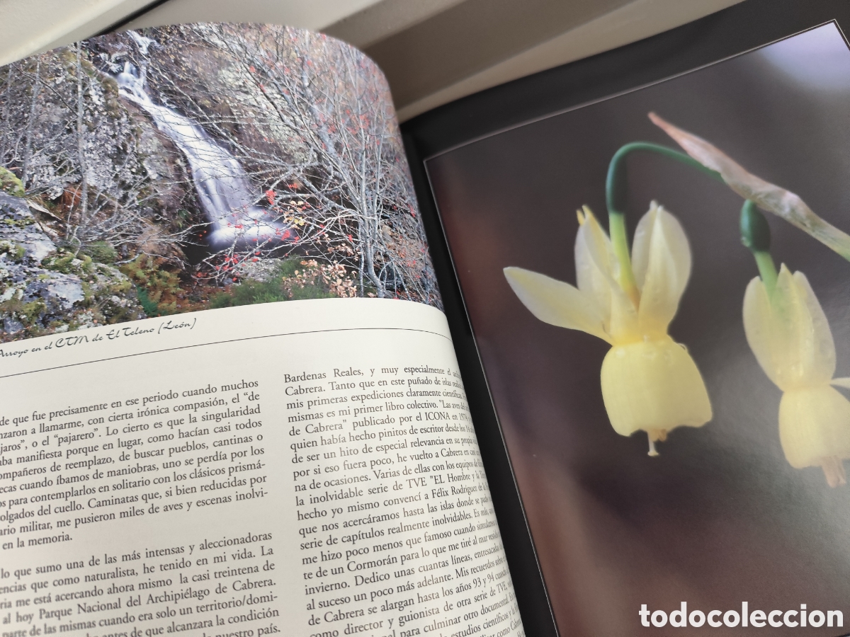 Libros de segunda mano: ESPACIOS NATURALES DEL MINISTERIO DE DEFENSA - Foto 10
