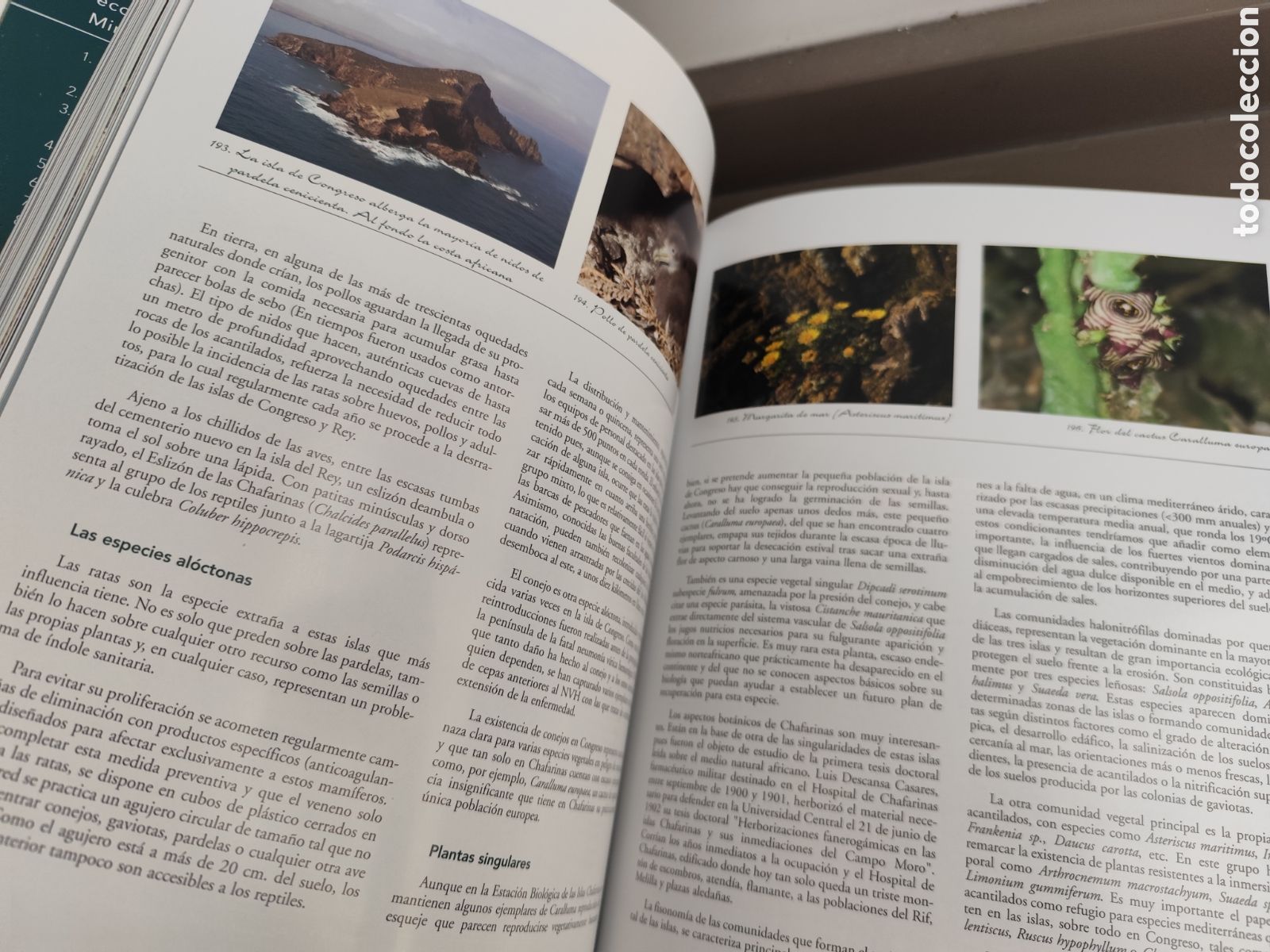 Libros de segunda mano: ESPACIOS NATURALES DEL MINISTERIO DE DEFENSA - Foto 15