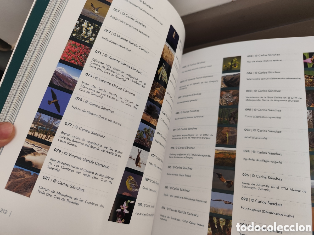 Libros de segunda mano: ESPACIOS NATURALES DEL MINISTERIO DE DEFENSA - Foto 16