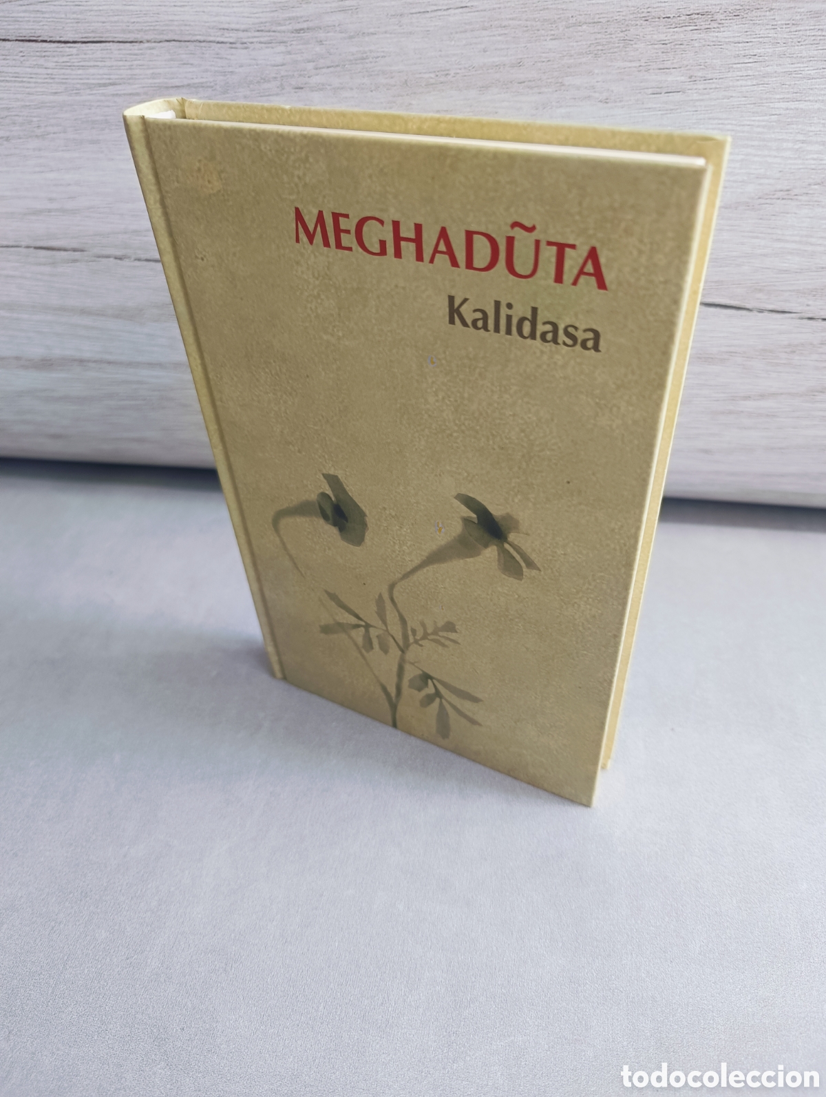 Libri di seconda mano: MEGHADUTA. UPANISAD DEL GRAN ARANYAKA. KALIDASA.