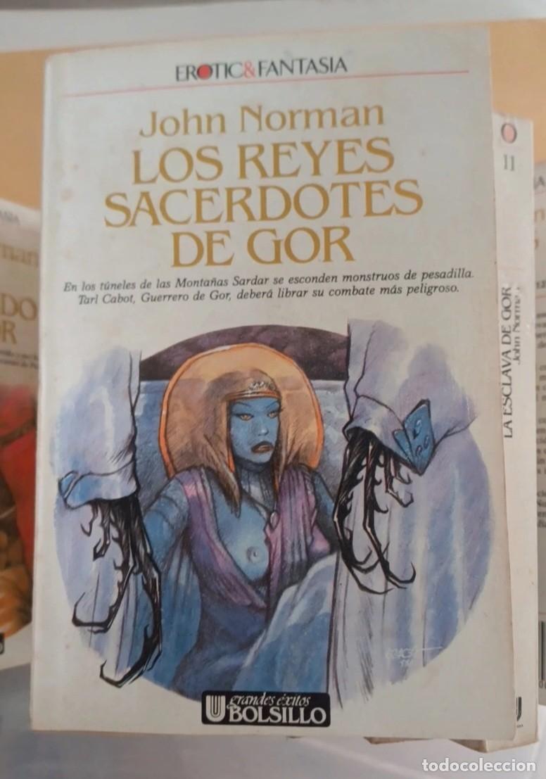 Libros de segunda mano: 14 libros. Colecci&oacute;n completa Cr&oacute;nicas Crontratierra. El guerrero de Gor. John Norman - Foto 4