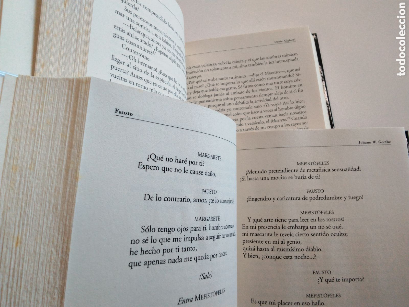 Libros de segunda mano: Lote de dos libros : DIVINA COMEDIA Y FAUSTO - Foto 5