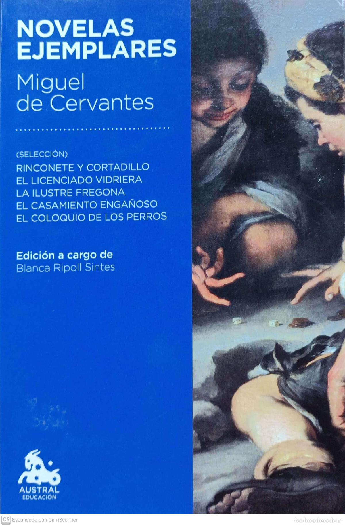 Libros de segunda mano: Novelas ejemplares - Miguel De Cervantes - Foto 1