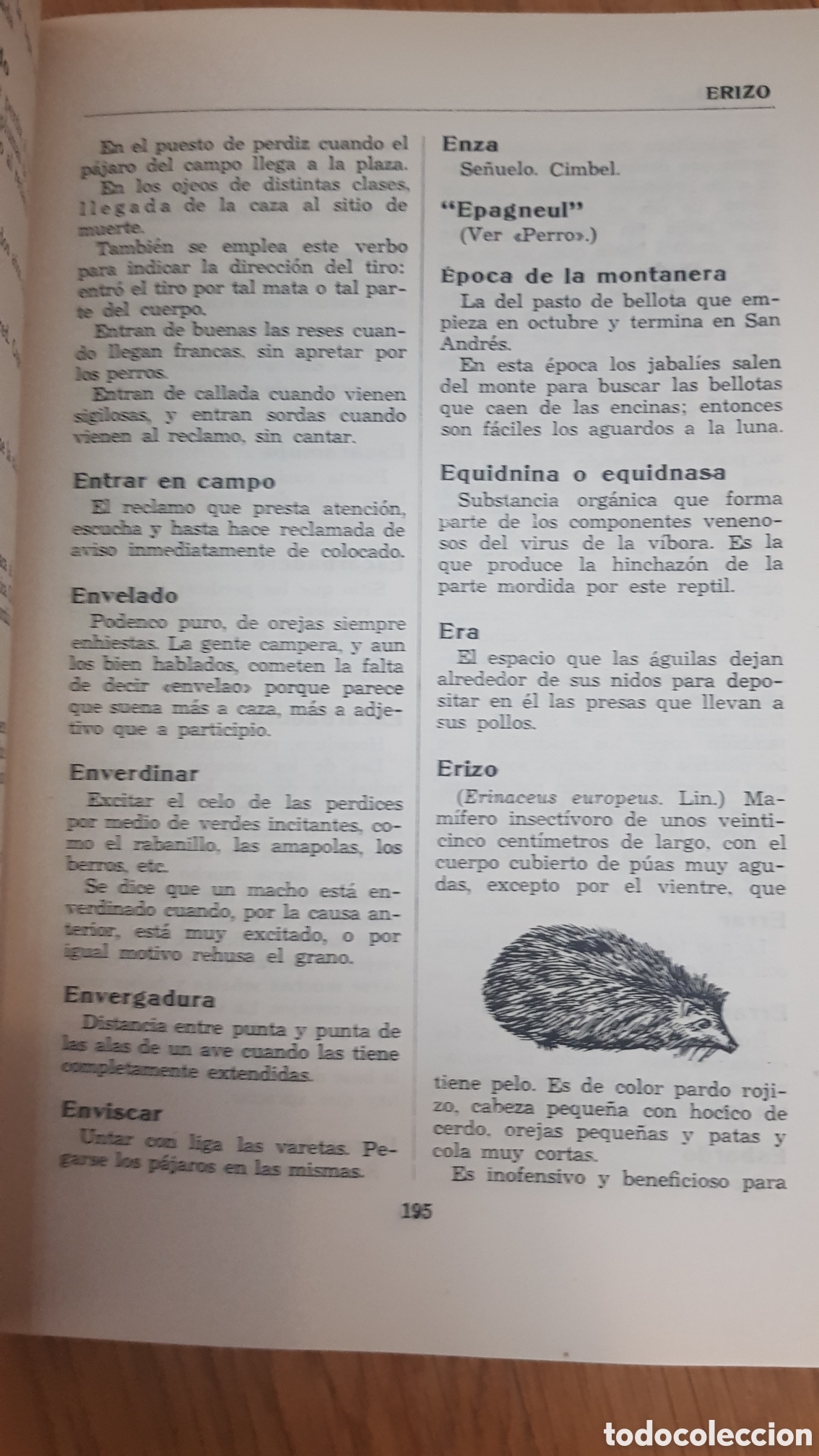 Libros de segunda mano: Diccionario de caza. Rodero - Foto 5