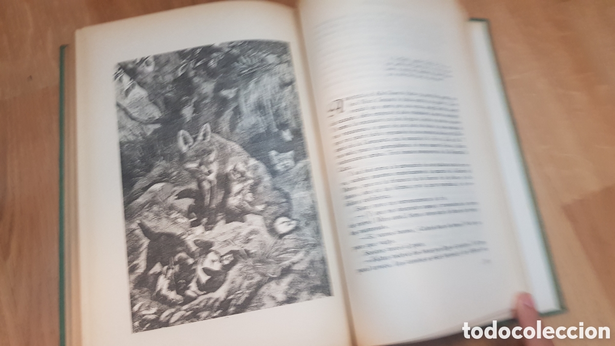 Libros de segunda mano: Caza mayor. Julian settier - Foto 4