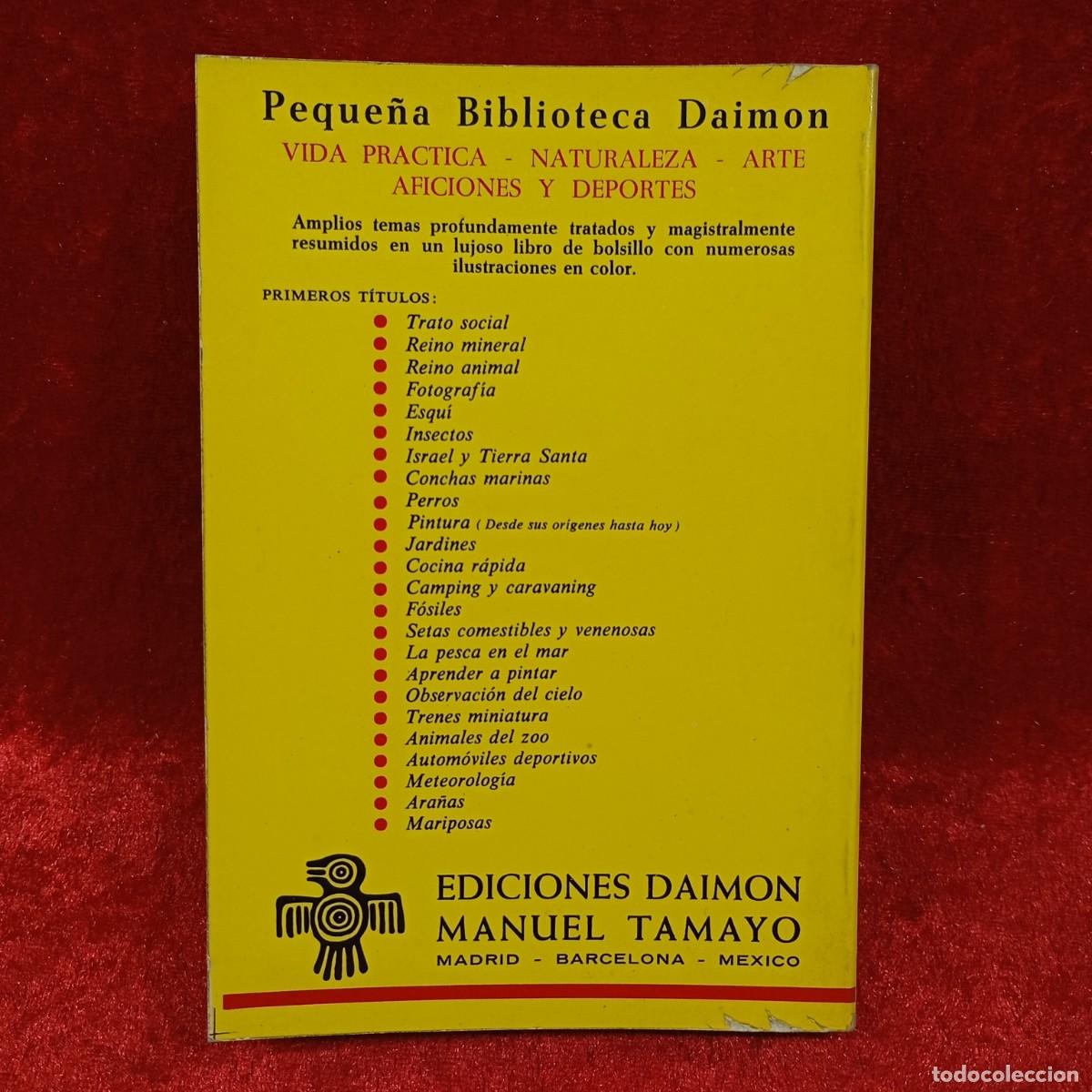 Libros de segunda mano: CLARENCE RAINWATER - LUZ Y COLOR - EDICIONES DAIMON - 1976 / 997 - Foto 2
