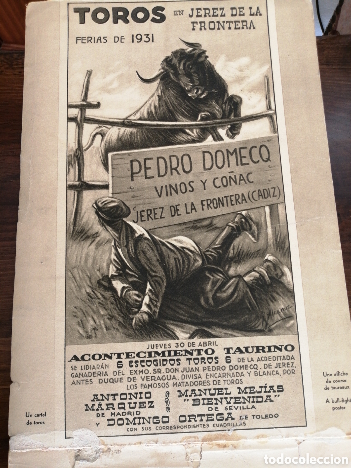 Libros de segunda mano: TOROS Vision grafica - Foto 2