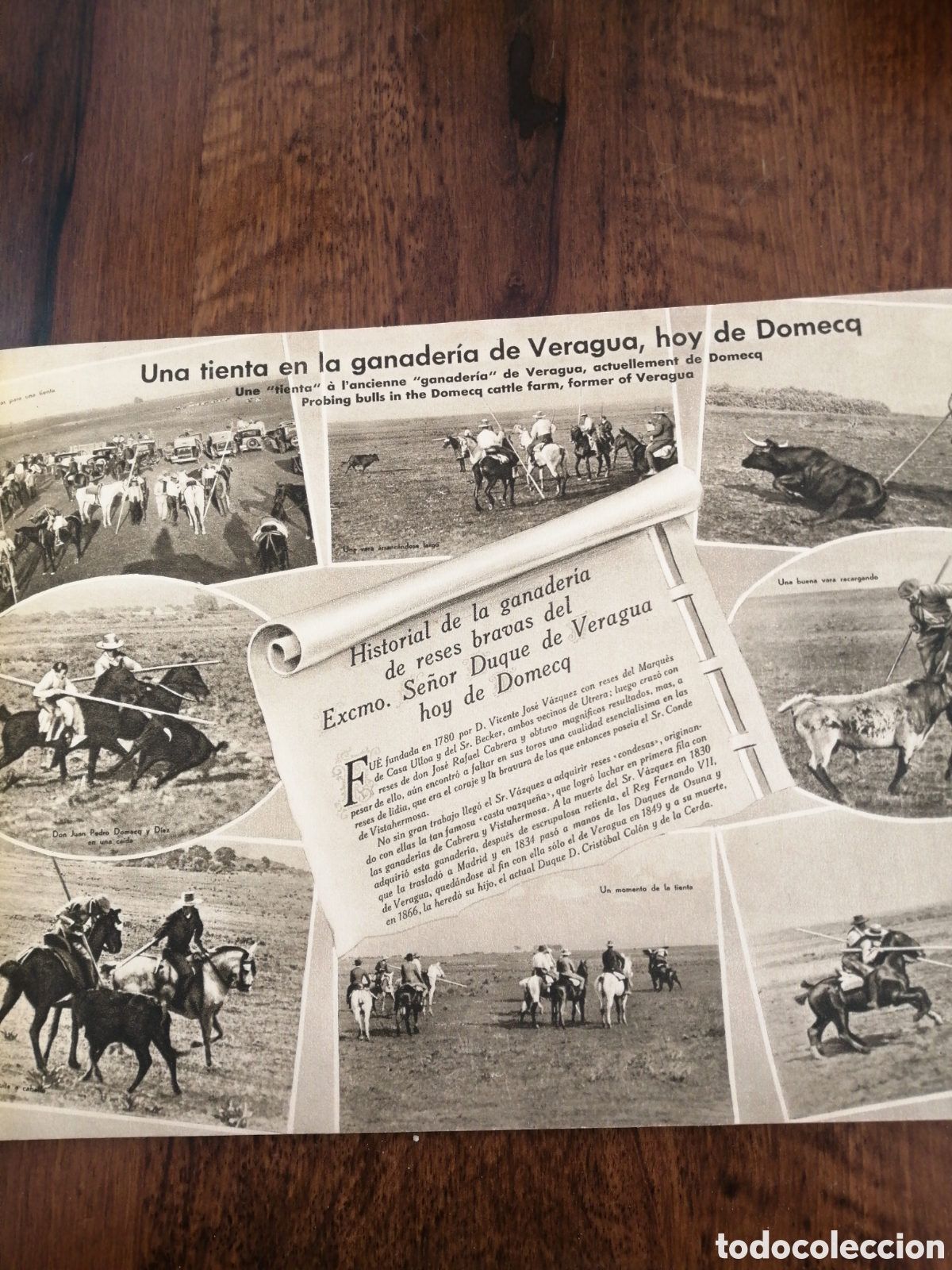 Libros de segunda mano: TOROS Vision grafica - Foto 4