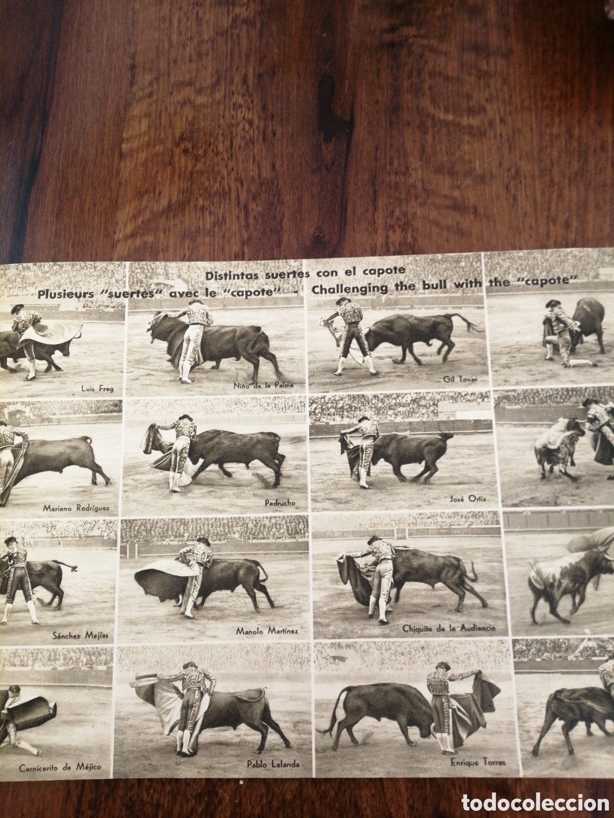 Libros de segunda mano: TOROS Vision grafica - Foto 5