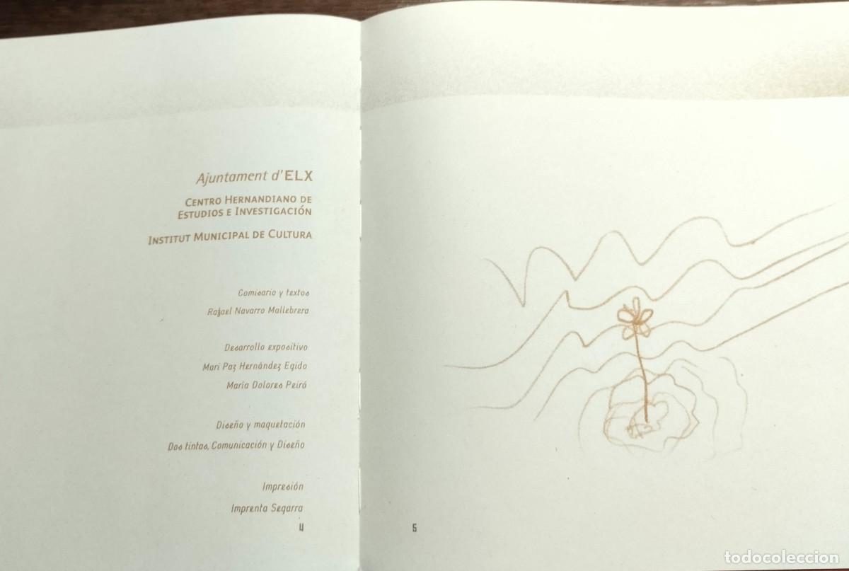Libros de segunda mano: Poliedros, Dibujos de Miguel Hern&aacute;ndez, Elche, 2003, - Foto 3