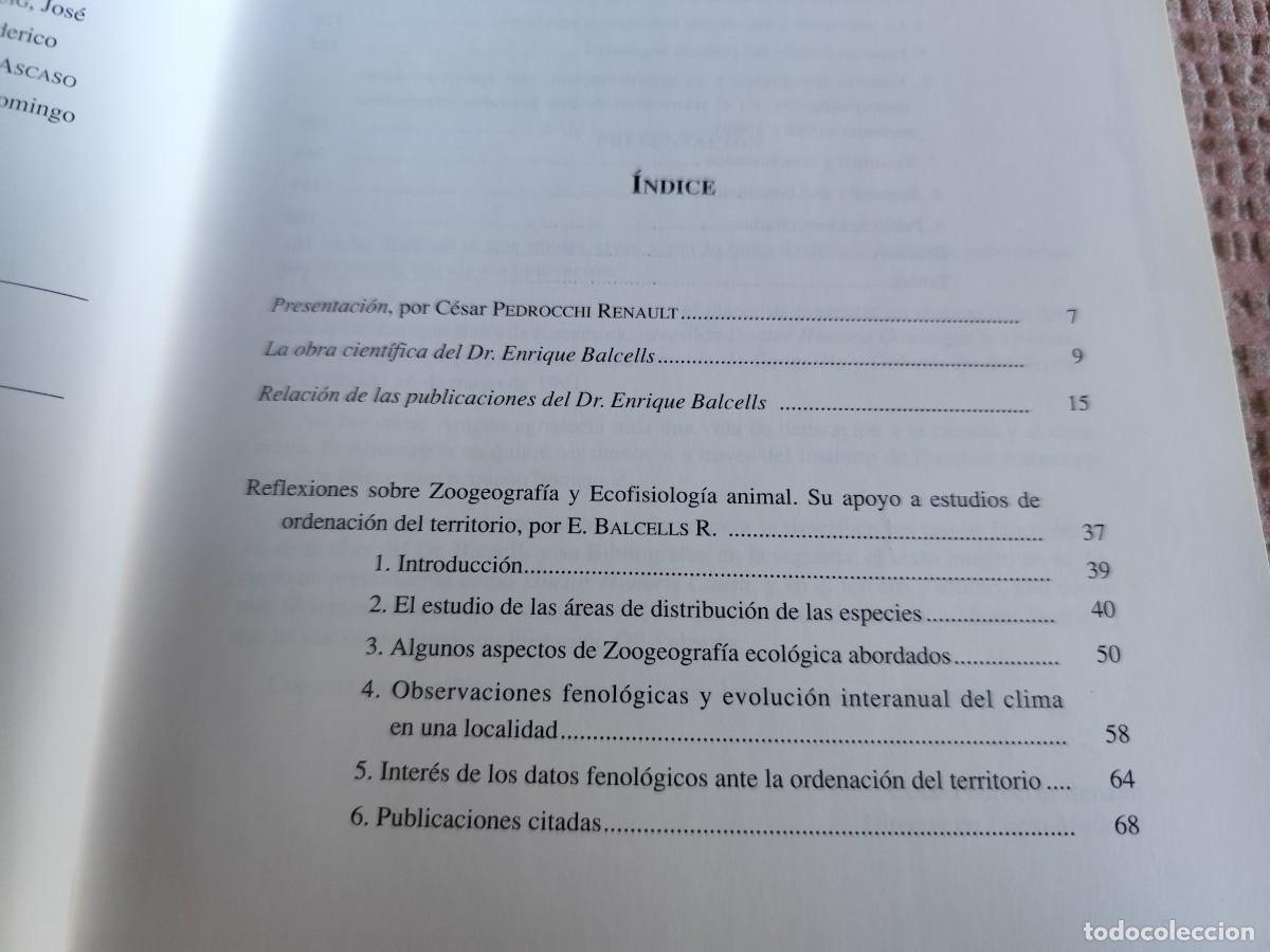 Libros de segunda mano: LUCAS MALLADA 4 / / EVA 242 / ARAGON - Foto 5