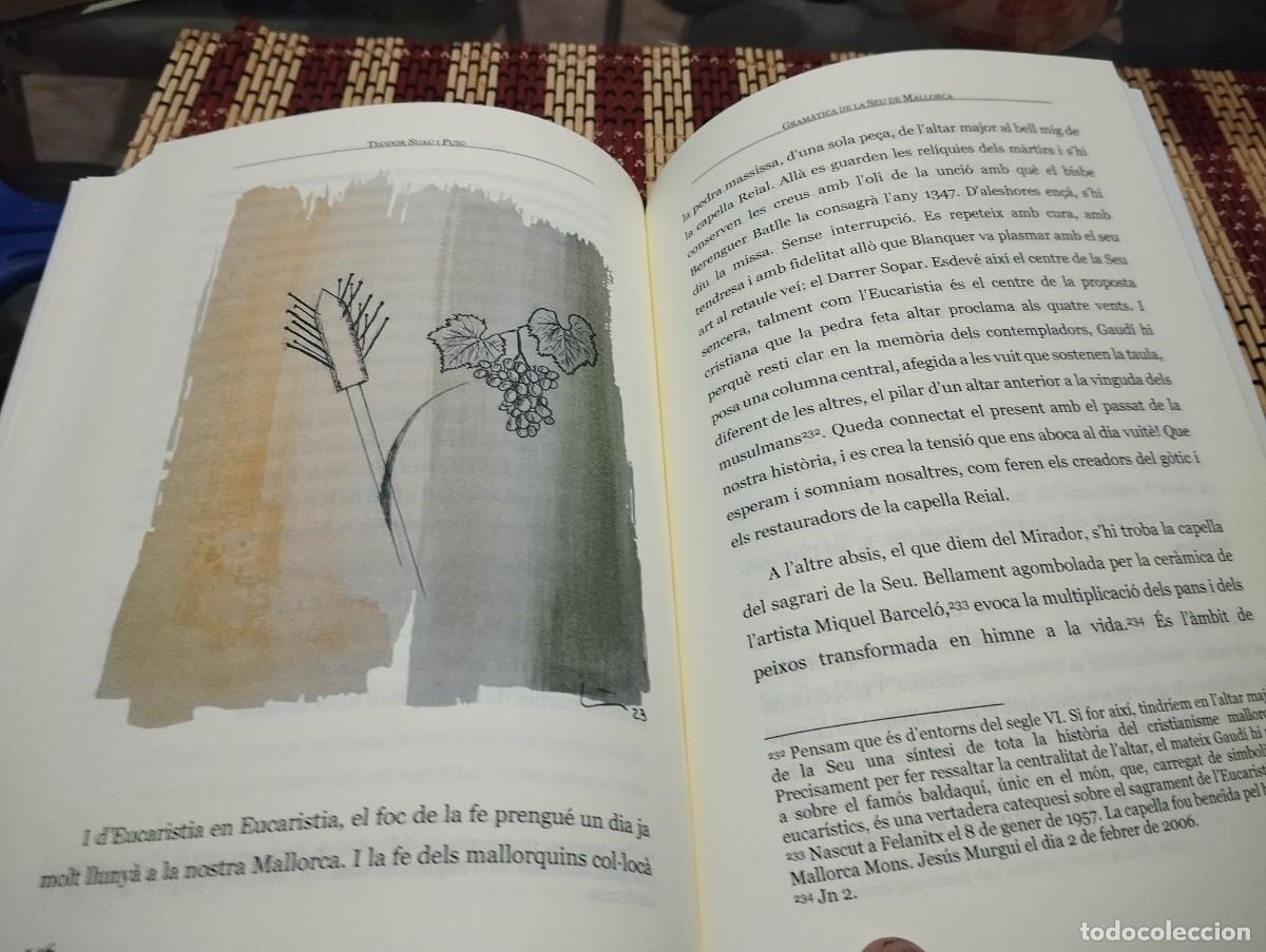 Libros de segunda mano: GRAMATICA DE LA SEU DE MALLORCA TEODOR SUAU I PUIG 2023 - Foto 7