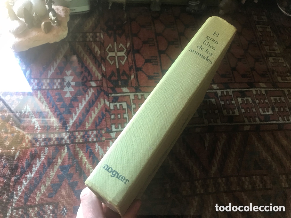 Libros de segunda mano: El gran libro de los animales. Editorial Noguer. - Foto 1