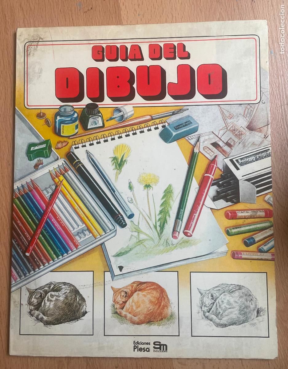 Libros de segunda mano: GUIA DEL DIBUJO Coleccion El joven Aficionado, Plesa - Foto 1