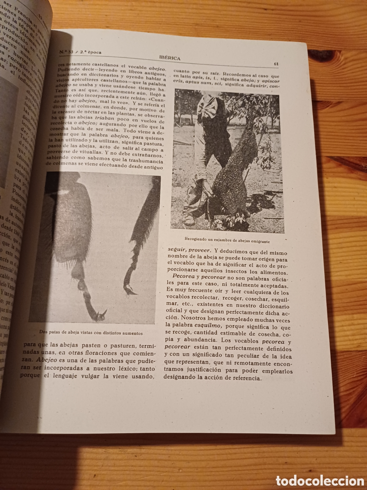 Libros de segunda mano: Iberica 1946 Tomo 3 El progreso de las ciencias y sus aplicaciones - Foto 3
