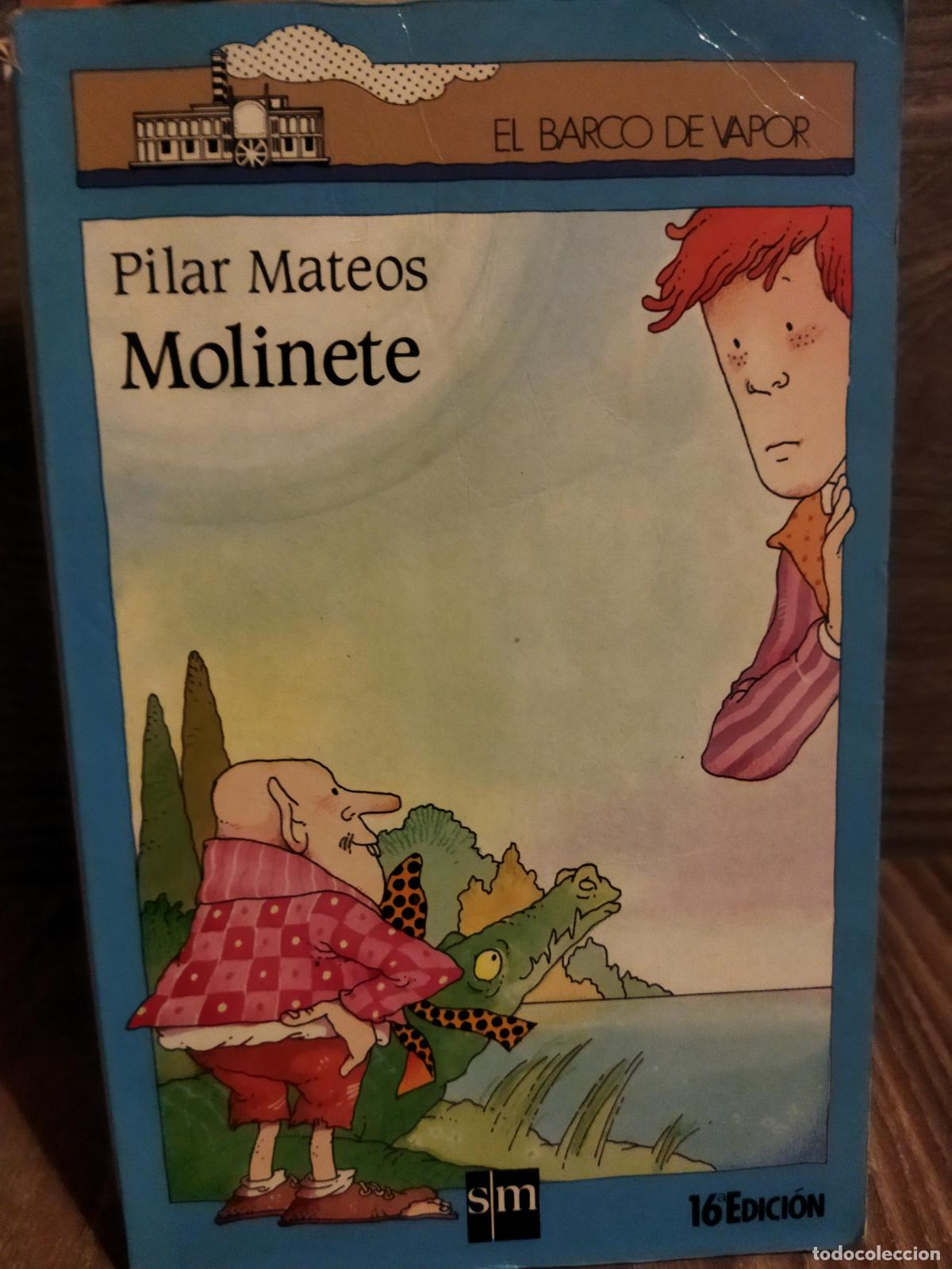 Libros de segunda mano: Molinete pilar Mateos el barco de vapor