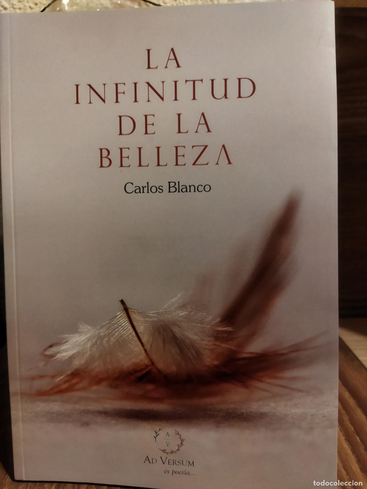 Libros de segunda mano: La infinitud de la belleza - Foto 1