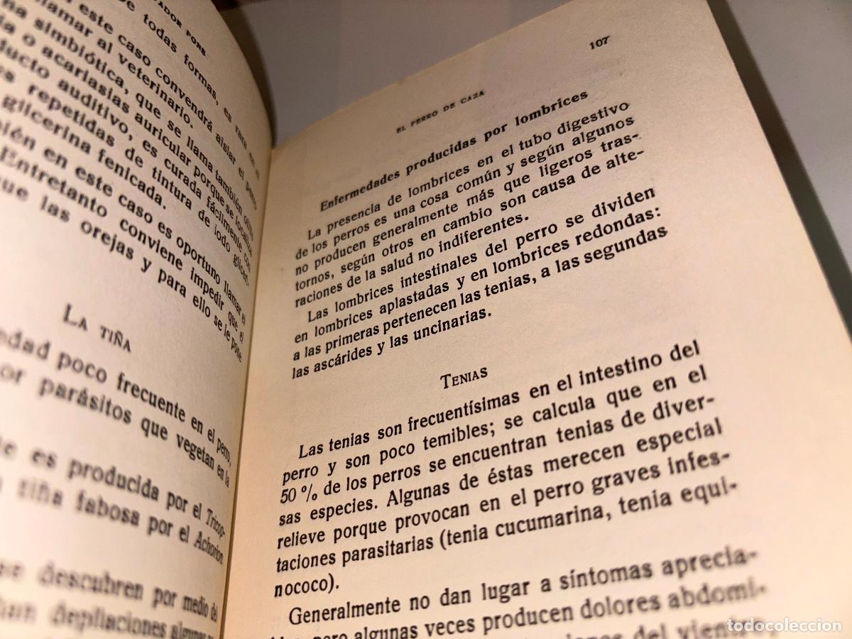 Libros de segunda mano: EL PERRO DE CAZA / SANTIAGO PONS / SINTES / - Foto 7