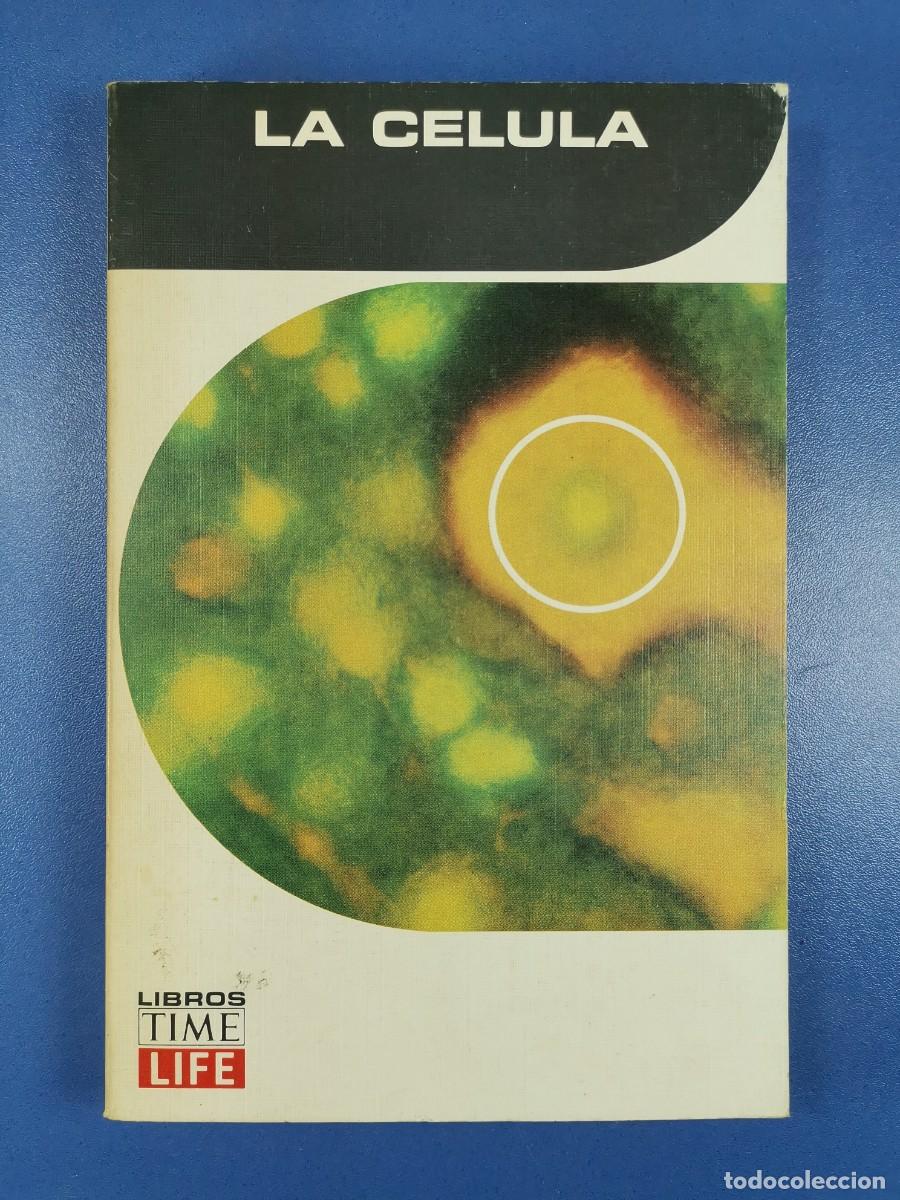 Libros de segunda mano: LA CELULA. Time-Life International, 1969 - Foto 2