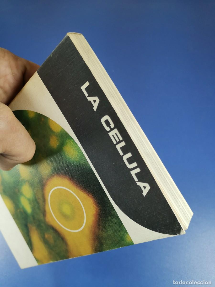 Libros de segunda mano: LA CELULA. Time-Life International, 1969 - Foto 3