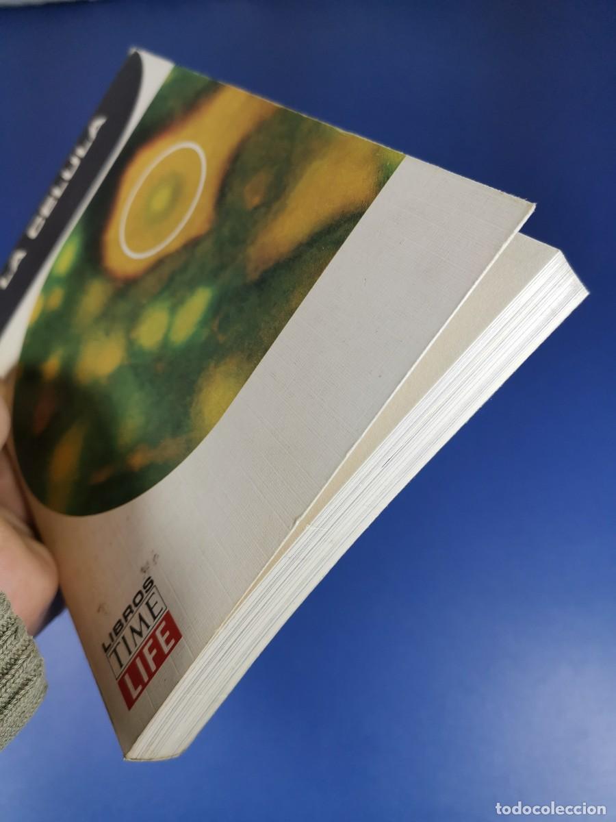 Libros de segunda mano: LA CELULA. Time-Life International, 1969 - Foto 5