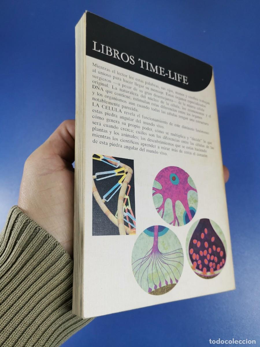 Libros de segunda mano: LA CELULA. Time-Life International, 1969 - Foto 7