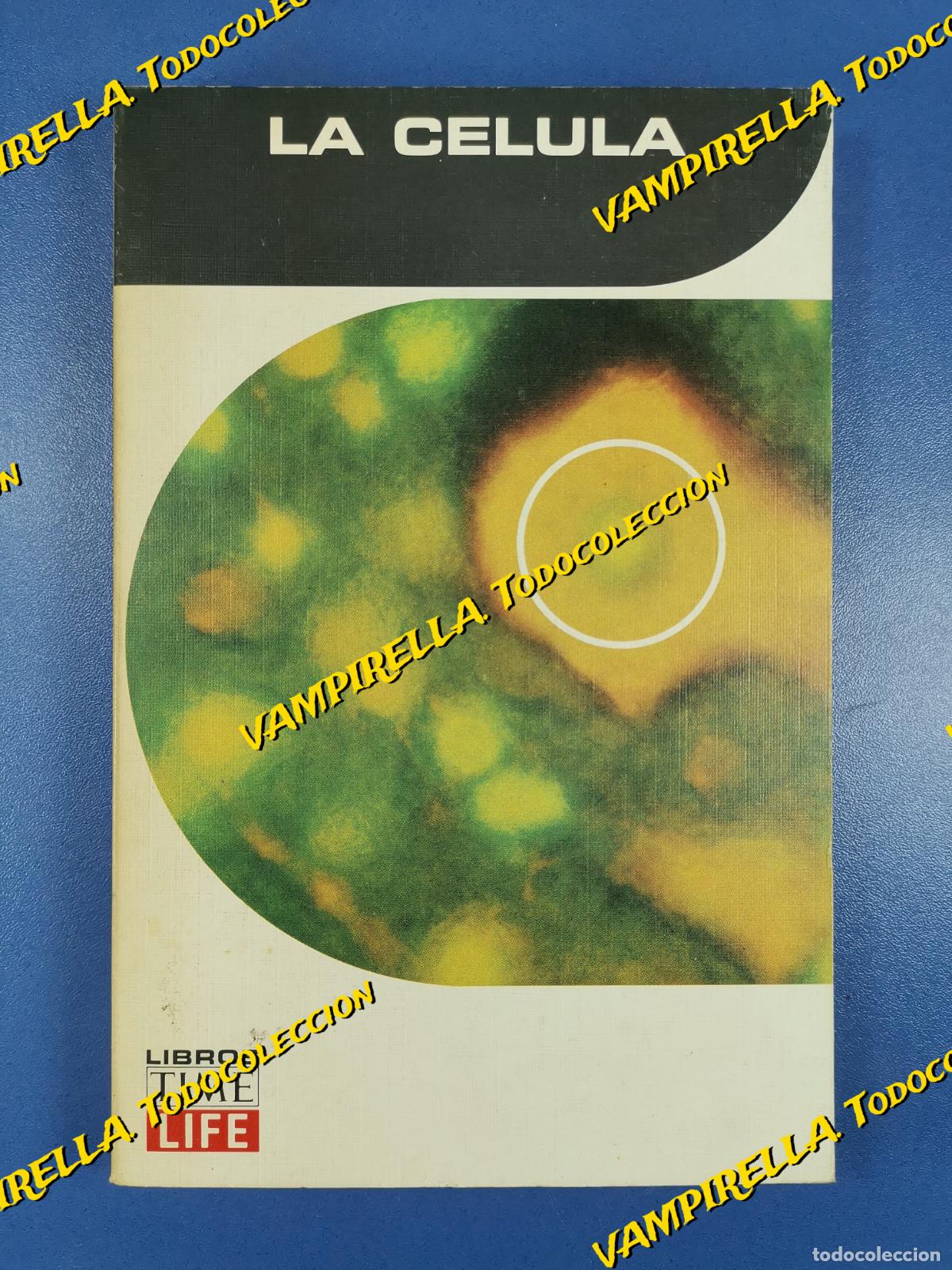 Libros de segunda mano: LA CELULA. Time-Life International, 1969 - Foto 1